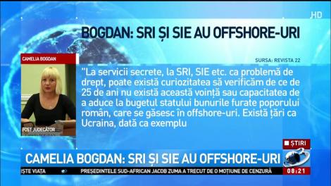 Acuzații grave ale fostei judecătoare Camelia Bogdan la adresa SRI și SIE