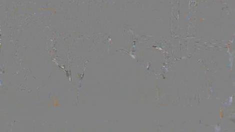 Președintele Macron și Iohannis, în vizită la Muzeul satului