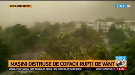 Vremea rea a făcut prăpăd &icirc;n țară! Acoperişuri smulse, copaci rupţi și drumuri blocate