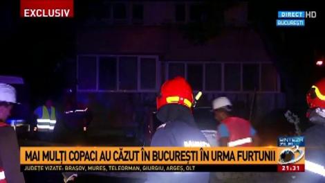 Mai mulți copaci au căzut &icirc;n București &icirc;n urma furtunii