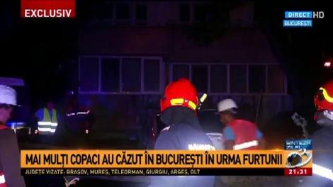 Mai mulți copaci au căzut în București în urma furtunii