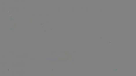 Afacerea care cutremură PSD. Insula Belina și Brațul Pavel, date spre închiriere la Tel Drum de Guvernul Boc