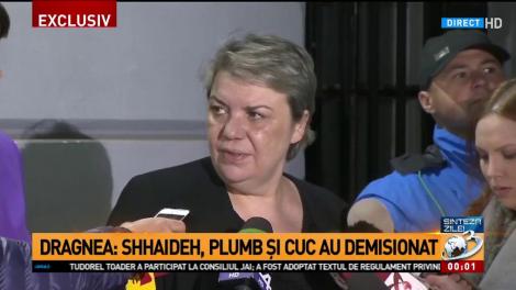 Sevil Shhaideh: Eu mi-am prezentat demisia
