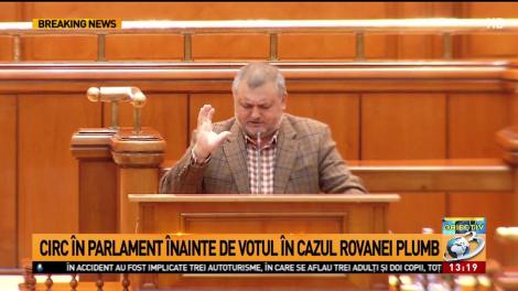Circ &icirc;n Parlament &icirc;nainte de votul &icirc;n cazul Rovanei Plumb