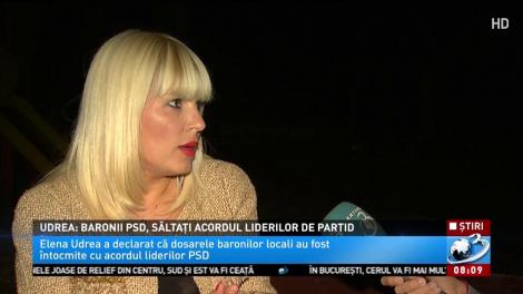 Udrea: Baronii PSD, săltați cu acordul liderilor de partid