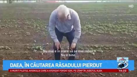 Ministrul Agriculturii și vrejul fermecat