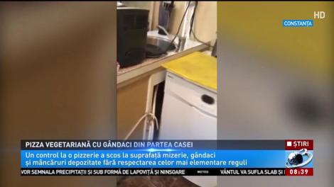 Pizzerie vegetariană plină cu gândaci