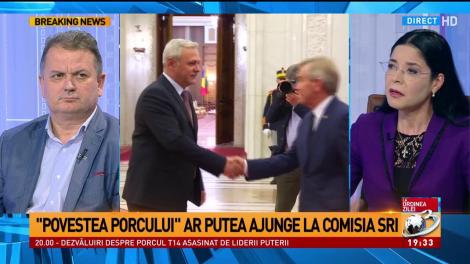 Ana Birchall despre Victor Ponta și ”Povestea porcului”