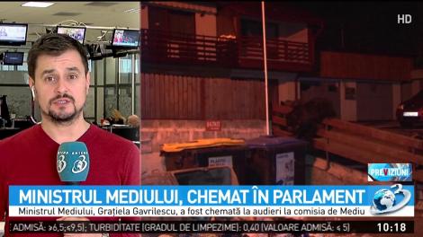 Ministrul Mediului, chemat la audieri în Parlament, în problema urșilor ”gunoieri”