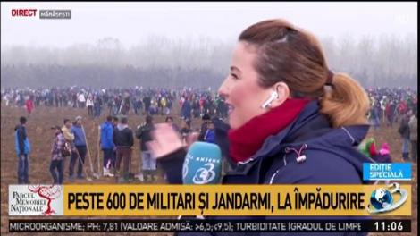 Peste 7.000 de voluntari la acțiunea de &icirc;mpădurire