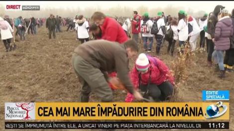 Militarii &rdquo;Invictus&rdquo; plantează stejari