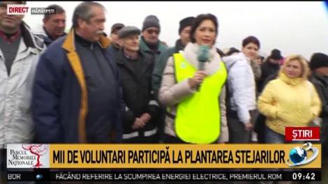 &Icirc;ncepe RoM&acirc;ndria