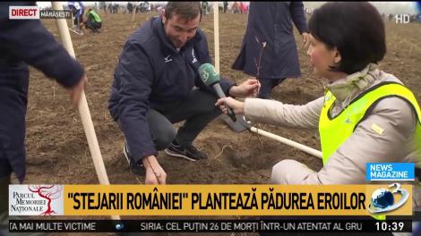 &rdquo;Stejarii Rom&acirc;niei&rdquo; plantează stejari