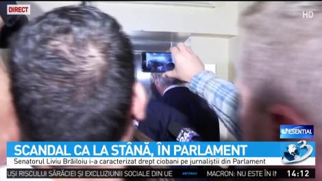 Scandal ca la st&acirc;nă, &icirc;n Parlament
