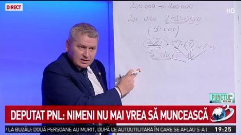 Deputat PNL: Nimeni nu mai vrea să muncească. Sunt români care preferă cârciuma