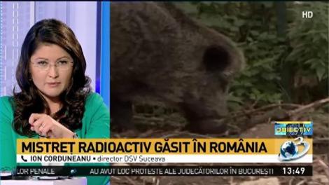 Mistreț radioactiv, găsit &icirc;n Rom&acirc;nia