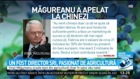 Virgil Măgureanu, afaceri cu afine