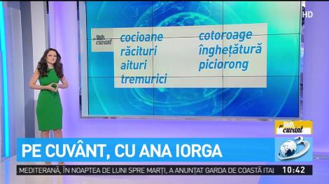 Noi știm ce mâncăm? Ce origine au, de fapt, bucatele românești