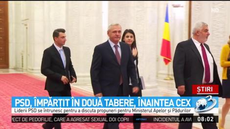 Dragnea și Tudose, față în față la ședința CEX al PSD. Ce mișcare politică se pregătește în interiorul partidului