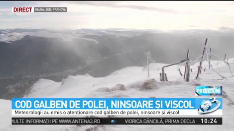 Cod galben de ninsori. Cum e vremea la Sinaia