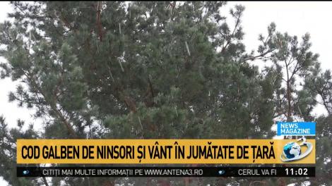 Atenționare meteo! Cod galben de ninsori și v&acirc;nt &icirc;n jumătate din țară