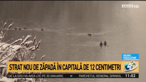 Cod galben de ninsori și v&acirc;nt &icirc;n jumătate din țară