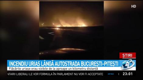 Incendiu uriaş l&acirc;ngă Autostrada Bucureşti- Piteşti