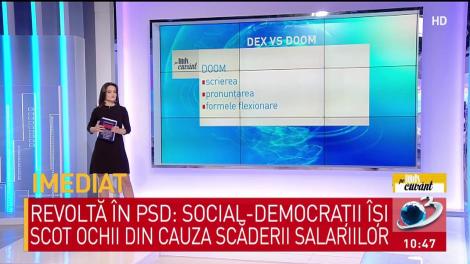 Care sunt cele mai importante dicționare din limba rom&acirc;nă și cum le folosim