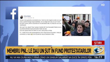 Mesaj halucinant transmis de un membru PNL: Protestatarii, proști și milogi