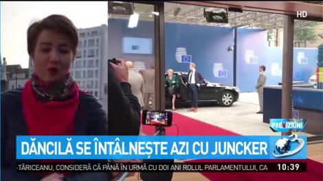 Viorica Dăncilă, &icirc;nt&acirc;lniri cruciale la Bruxelles