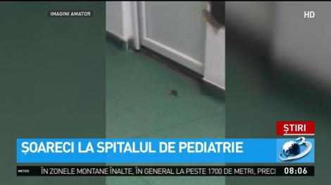 Copilă tratată printre șoareci la Spitalul de Boli Infecţioase din Craiova. Tatăl fetei: "N-au reacţionat &icirc;n niciun fel. Doar au deschis geamul şi uşa&ldquo;