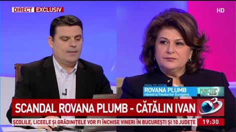 Scandal &icirc;ntre Rovana Plumb și Cătălin Ivan, pe tema fondurilor europene