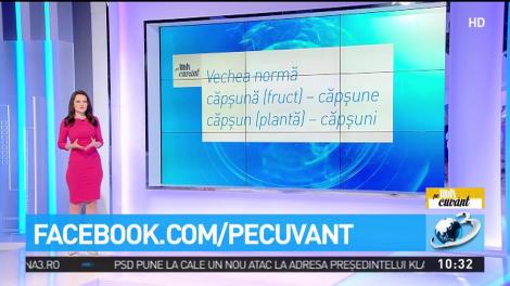 Pluralul corect de la căpșună