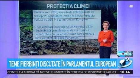 Teme fierbinți discutate &icirc;n Parlamentul European
