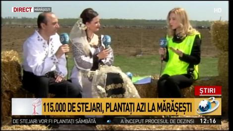 335.000 de stejari, c&acirc;te unul pentru fiecare erou. Artiștii au venit să dea o m&acirc;nă de ajutor