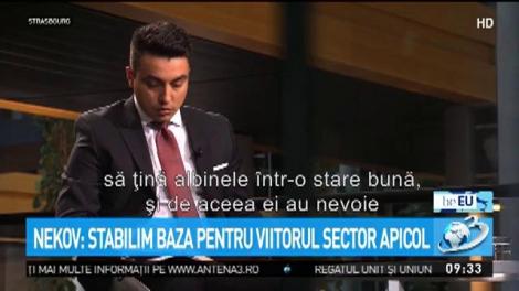 Noi măsuri pentru susținerea apiculturii