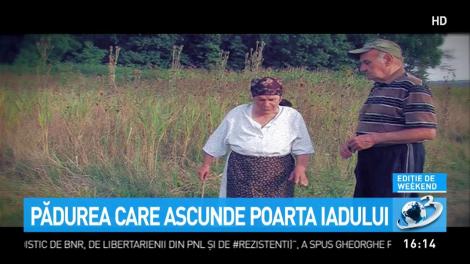 Pădurea care ascunde poarta Iadului se află &icirc;n Rom&acirc;nia. Ce ciudățenii au loc acolo