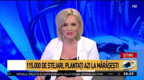 Parcul Memoriei Naționale prinde viaţă! 335.000 de stejari, c&acirc;te unul pentru fiecare erou