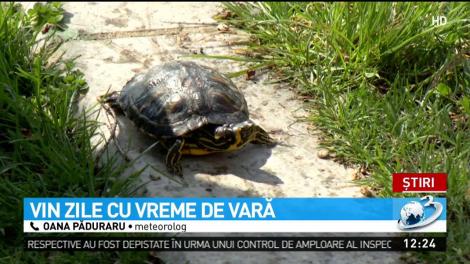 Prognoza meteo pentru săptăm&acirc;na 23-29 aprilie. Vreme tot mai caldă, temperaturile se apropie de 30 de grade