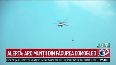 Alertă: Ard munții din pădurea Domogled
