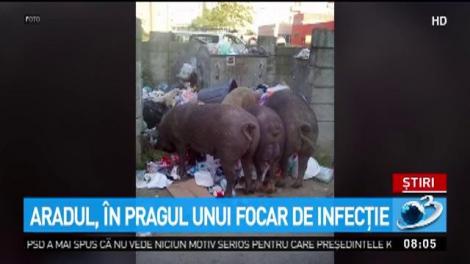 Aradul, &icirc;n pragul unui focar de gunoaie