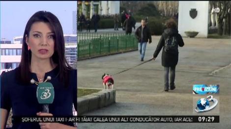 Cum va fi vremea &icirc;n weekend