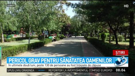 Alertă, zeci de oameni mușcați de căpușe