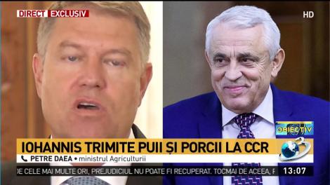 Klaus Iohannis a sesizat CCR din cauza porcilor și puilor. Petre Daea: &bdquo;Este un program dorit de țară&rdquo;