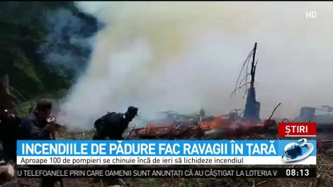 Incendiile de pădure fac ravagii &icirc;n țară