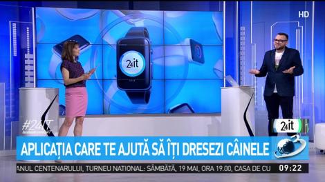 Aplicația care te ajută să &icirc;ți dresezi c&acirc;inele
