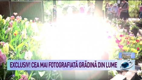 Exclusiv! Cea mai fotografiată grădină de flori din lume
