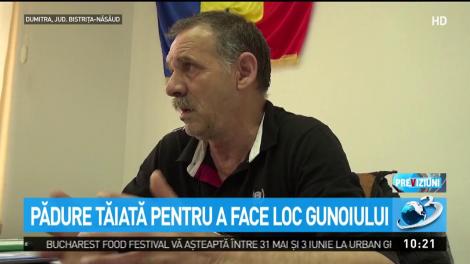 Pădure tăiată pentru a face loc gunoiului