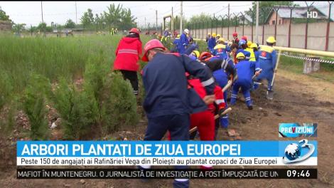 Arbori plantați de Ziua Europei
