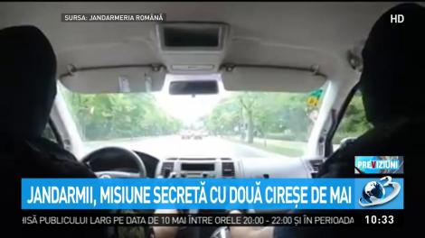 Jandarmii, misiune secretă cu două cireșe de mai